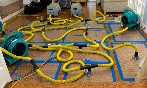 Professional Water Damage Restoration technician working in Englewood, CO